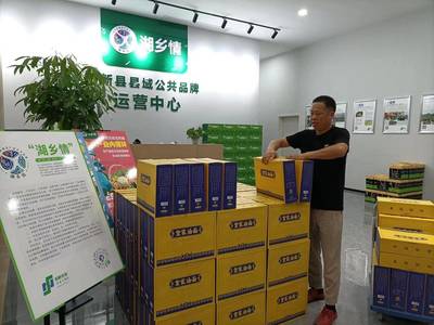 陽新縣農發公司 “雙向發力”打通農副土特產品產銷路，繪就鄉村振興新畫卷